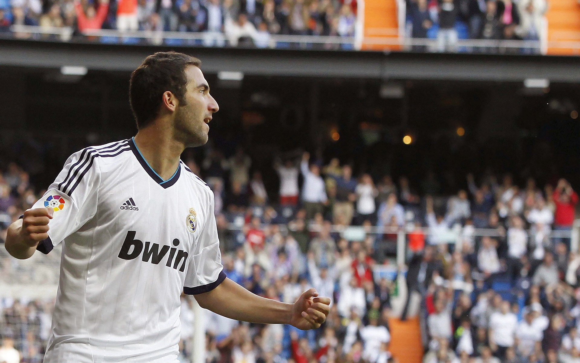 _锦标赛期间的幕后工作：赛事组织者揭秘_，锦标赛项目