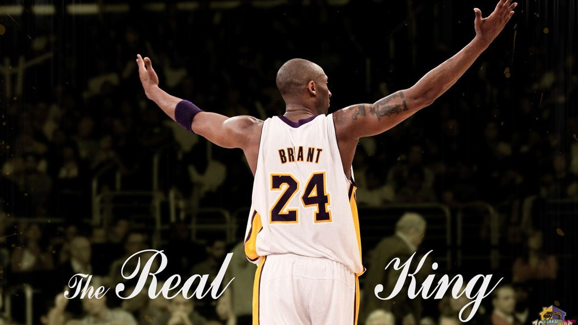 “荒原狂飙：追逐速度的生死战役”，狂野荒原